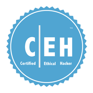 ethical hacking training