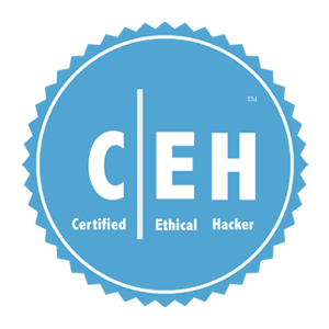 certified_ethical_hacker_Training_in_Noida