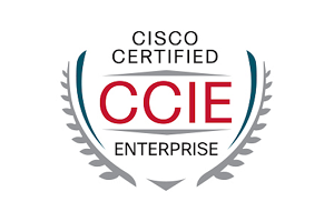 ccie routing and switching training